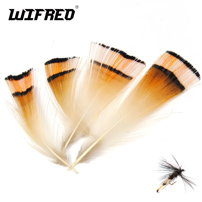 Fishing Equipment Brands - Cresta de cabeza de faisán dorado